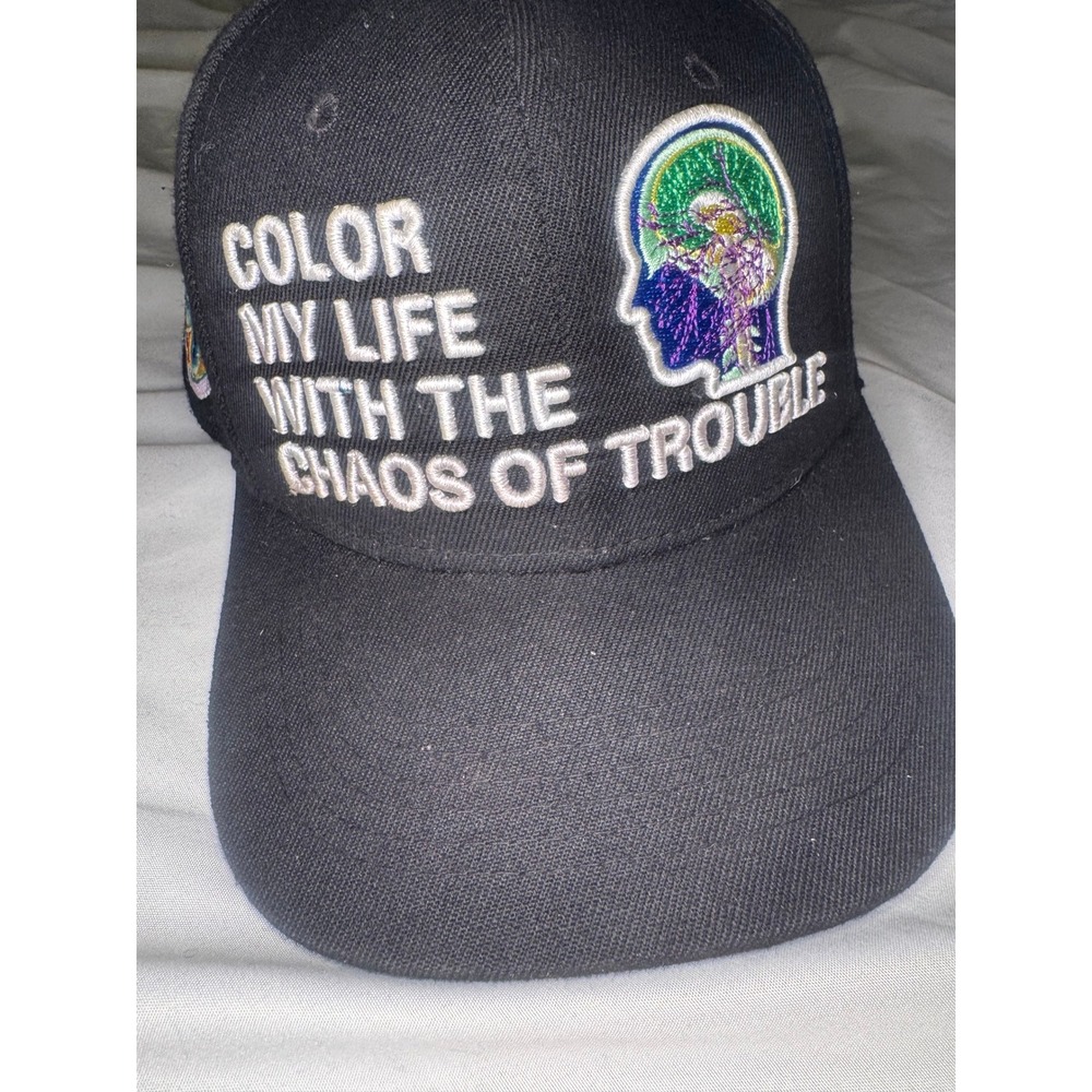 WebSurfGroup Embroidered Snapback Hat Black Mens Streetwear